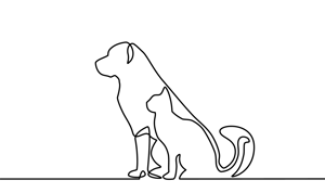 animals
